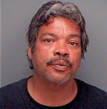 Mitchell David - Pinellas County, FL 