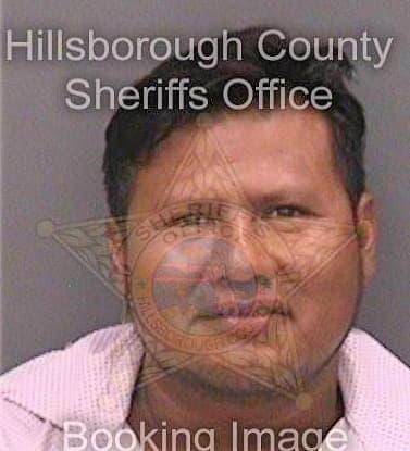 Zepedahernandez Ignacio - Hillsborough County, FL 