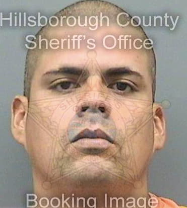 Vidalrodriguez Julio - Hillsborough County, FL 