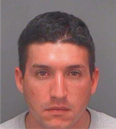 Newsome Nicolas - Pinellas County, FL 