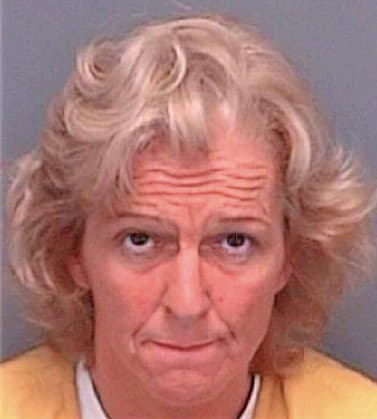 Dell Patricia - Pinellas County, FL 