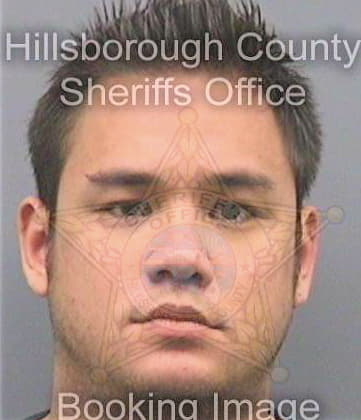 Olivieri Vincent - Hillsborough County, FL 