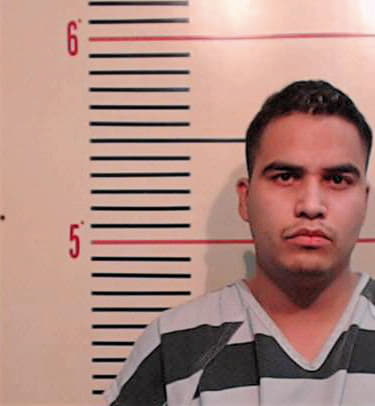 Gonzales-Guerrero David - Parker County, TX 