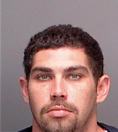 Mayenschein Matthew - Pinellas County, FL 