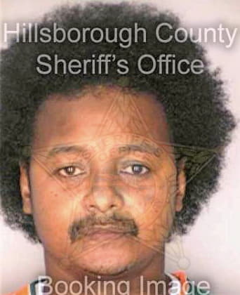Johnson Michael - Hillsborough County, FL 