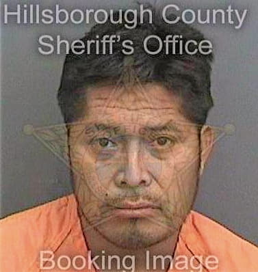Capillazeferino Ricardo - Hillsborough County, FL 