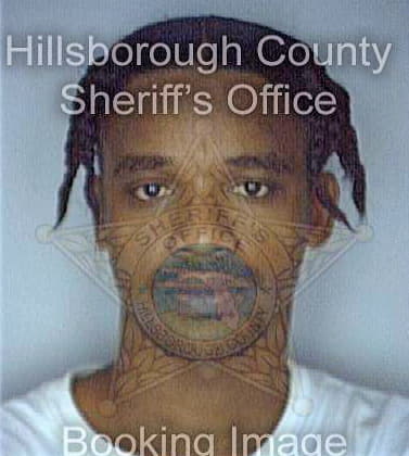 Weeks Willie - Hillsborough County, FL 