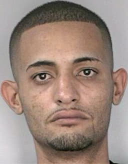 Cortes Luis - Hillsborough County, FL 