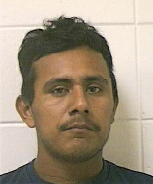 Vidal Ramon - Houston County, GA 