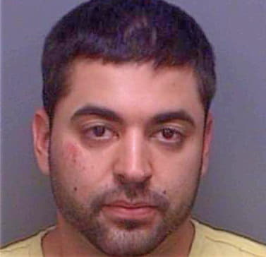 Mitchka Todd - Pinellas County, FL 
