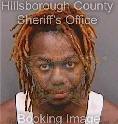 Summers Vincent - Hillsborough County, FL 