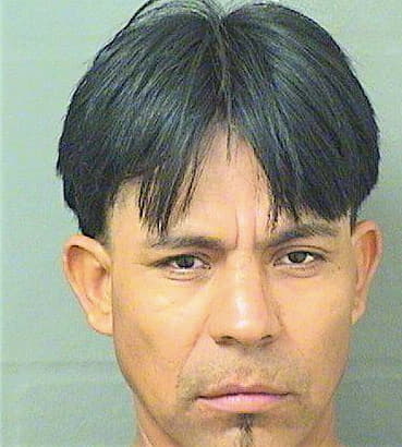 Gonzalezesquivel Antonio - PalmBeach County, FL 