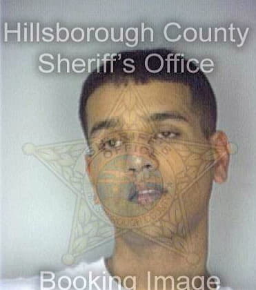 Thomas George - Hillsborough County, FL 