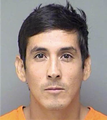 Prado Gerardo - Denton County, TX 