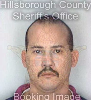 Gullien Anthony - Hillsborough County, FL 