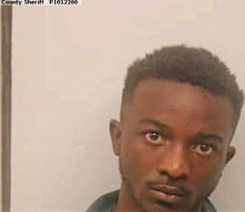 Jenkins Brandon - Chatham County, GA 
