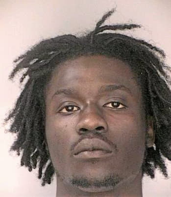 Bivens Dominic - Hillsborough County, FL 