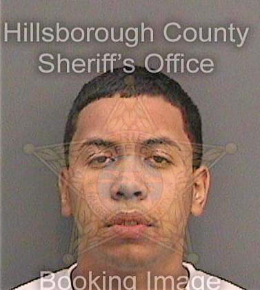 Cuelloecharte Felix - Hillsborough County, FL 