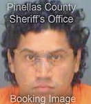 Higueros Geovanni - Pinellas County, FL 