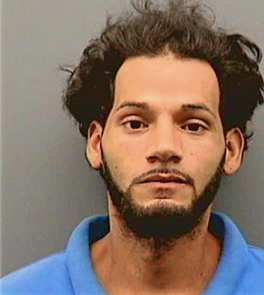 Vega Luis - Hillsborough County, FL 