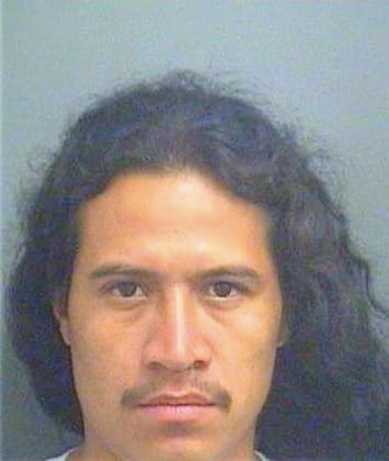 Chan Rene - PalmBeach County, FL 