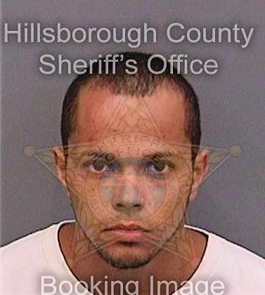 Gillespie Sean - Hillsborough County, FL 