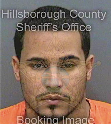 Mitchell Davion - Hillsborough County, FL 