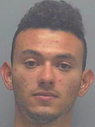 Berrio-Lince Jose - Lee County, FL 