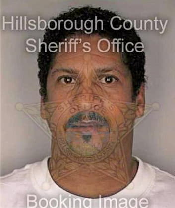 Stephenson Ricky - Hillsborough County, FL 