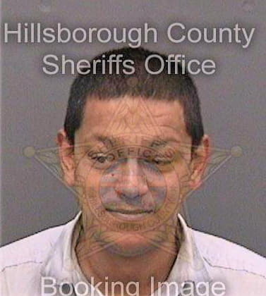 Chowdhury Syed - Hillsborough County, FL 