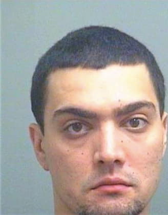 Albrecht Brian - PalmBeach County, FL 