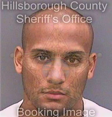 Toridio Ernest - Hillsborough County, FL 
