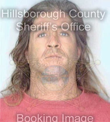 Mehegan Paul - Hillsborough County, FL 