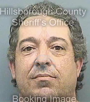 Gonzalez Anthony - Hillsborough County, FL 