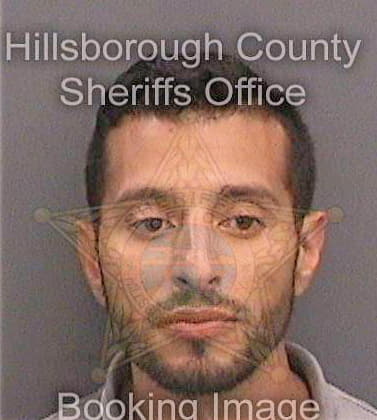 Castaneda Brian - Hillsborough County, FL 