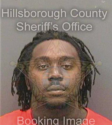 Nelson Dashawn - Hillsborough County, FL 