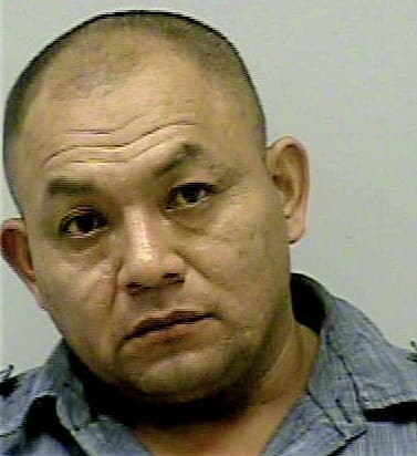Alarcon-Dominguez Jose - Gwinnett County, GA 