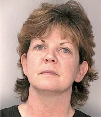 Lewis Lisa - Hillsborough County, FL 