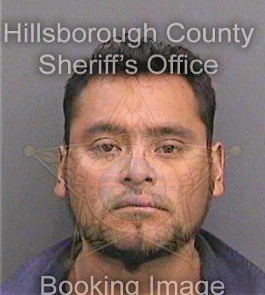 Diazlopez Luis - Hillsborough County, FL 