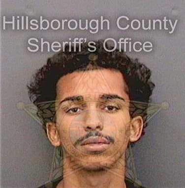 Stevens Steven - Hillsborough County, FL 