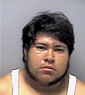 Ordaz Tomas - Lee County, FL 