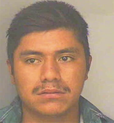 Ramirez Magdaleno - Polk County, FL 