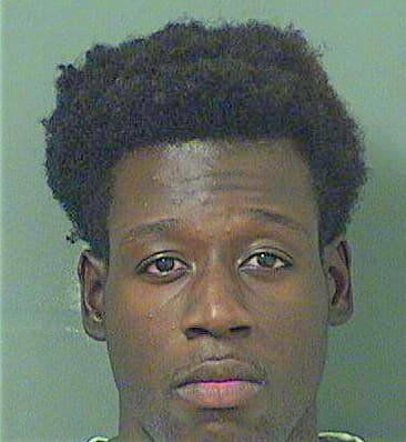 Delice Wilken - PalmBeach County, FL 