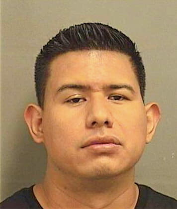 Rosmontejo Alejandro - PalmBeach County, FL 
