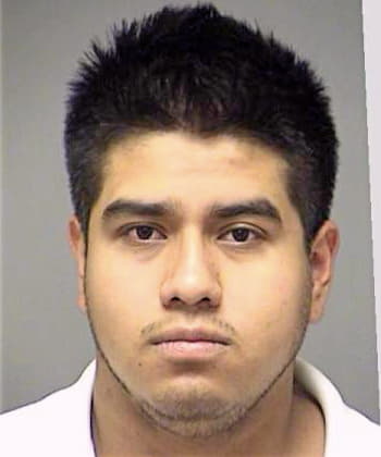 Hernandez-Luis Rolando - Denton County, TX 