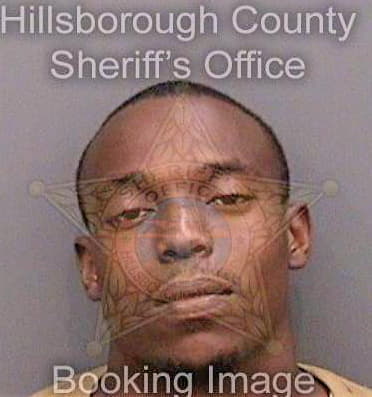 Mitchell Terrence - Hillsborough County, FL 