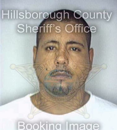 Ramirezruiz Alexis - Hillsborough County, FL 