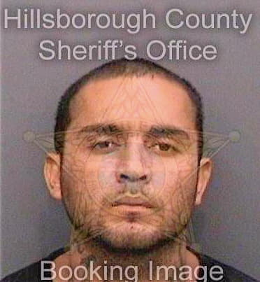 Cavazos Guadalupe - Hillsborough County, FL 