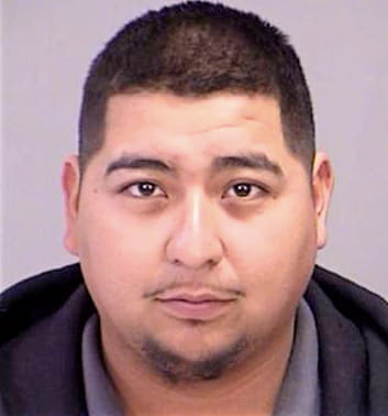 Deluna Guillermo - Brazos County, TX 