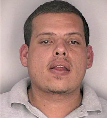 Castellon Immel - Hillsborough County, FL 
